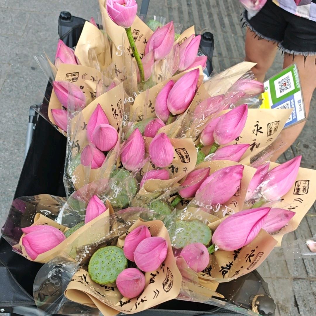 开开心心 每一天