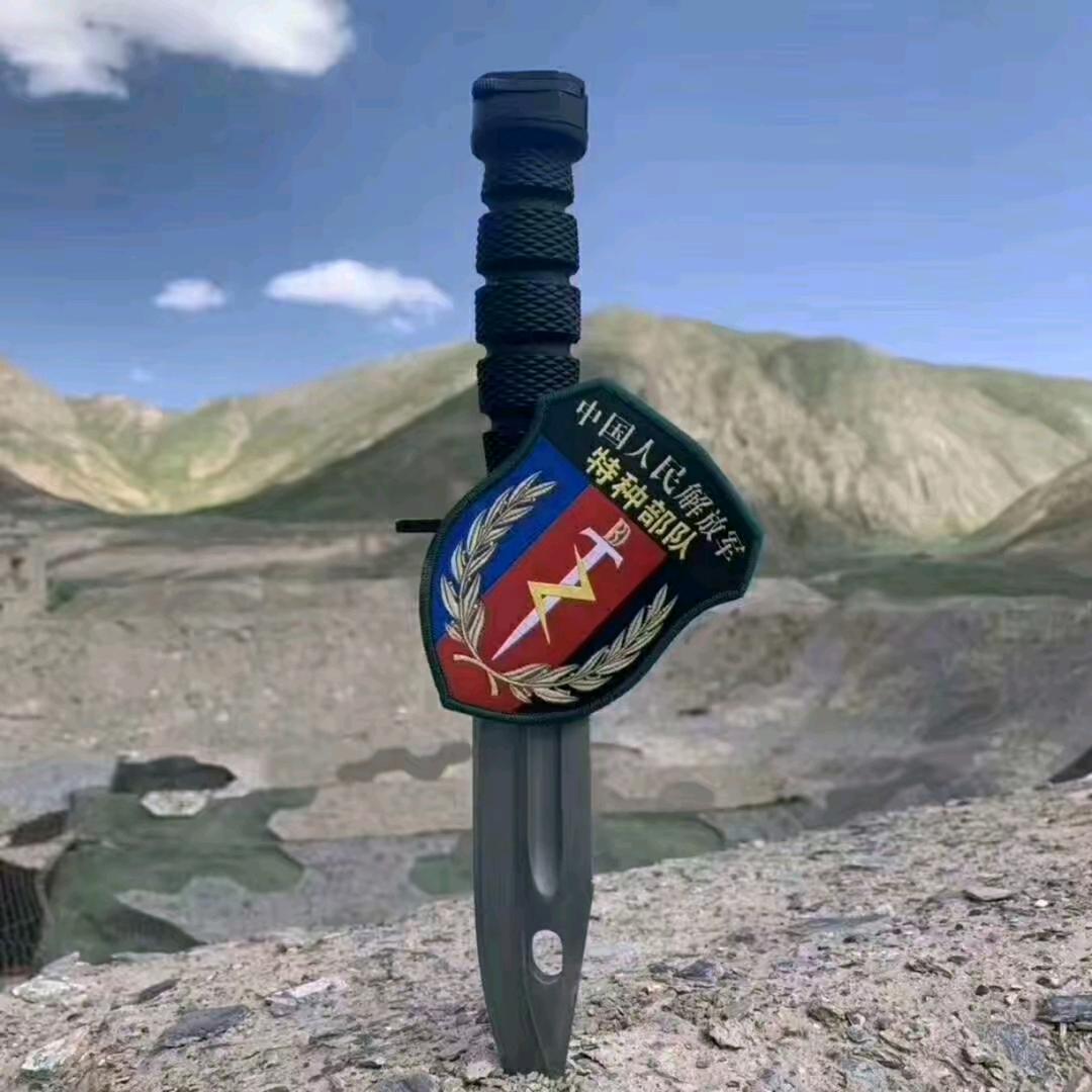 （天道酬勤）烤鱼先生