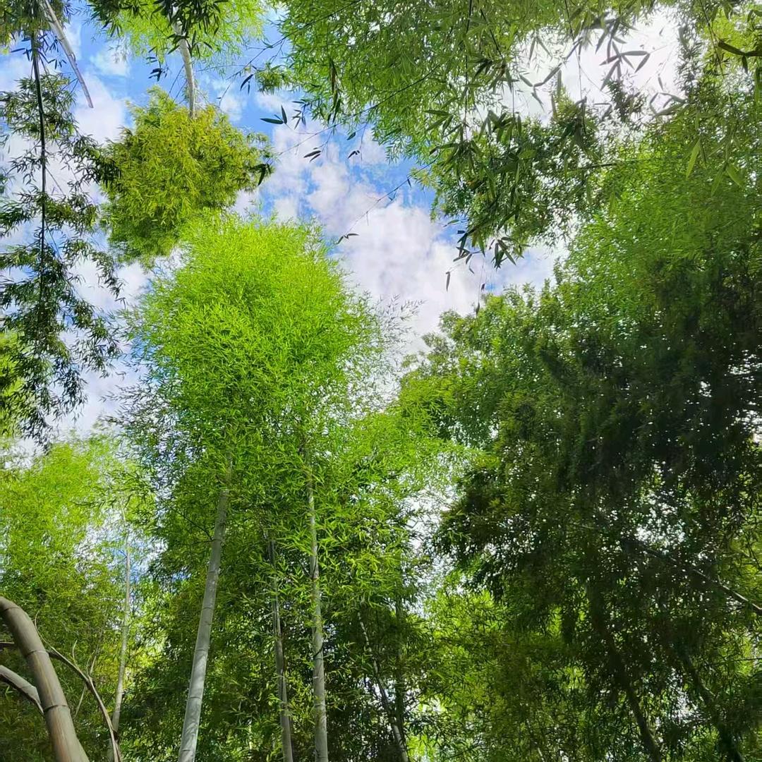 湖北三哥 🛬预约航拍