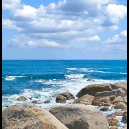 🇨🇳海阔天空🇨🇳💝🦀