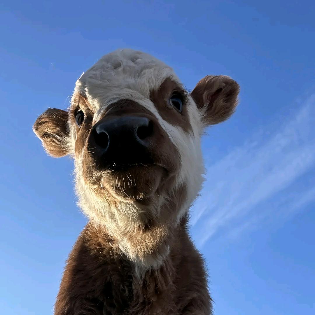 没事我看起来像18