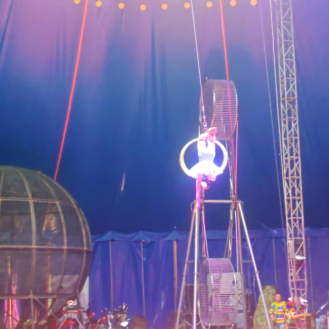 ✨✨✨冰峰粉丝