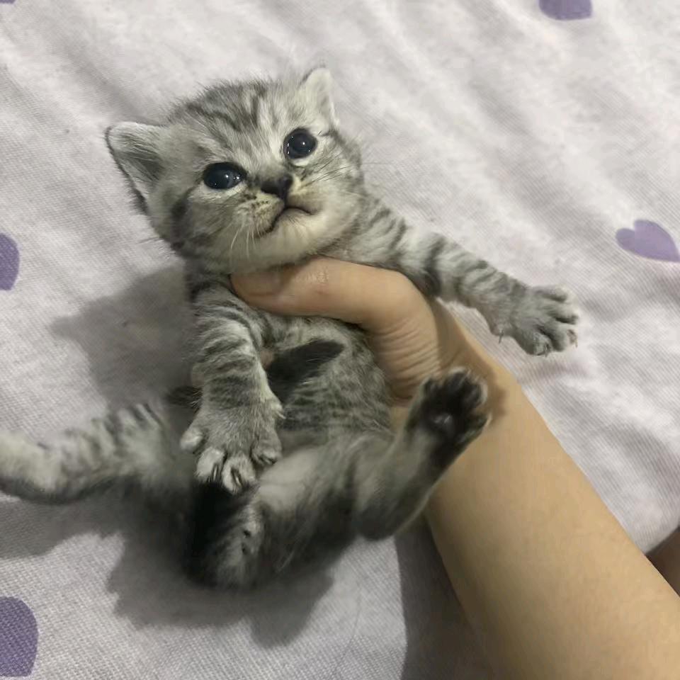 李富贵儿