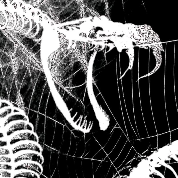 旭澄江（佐鸣图均可自印）