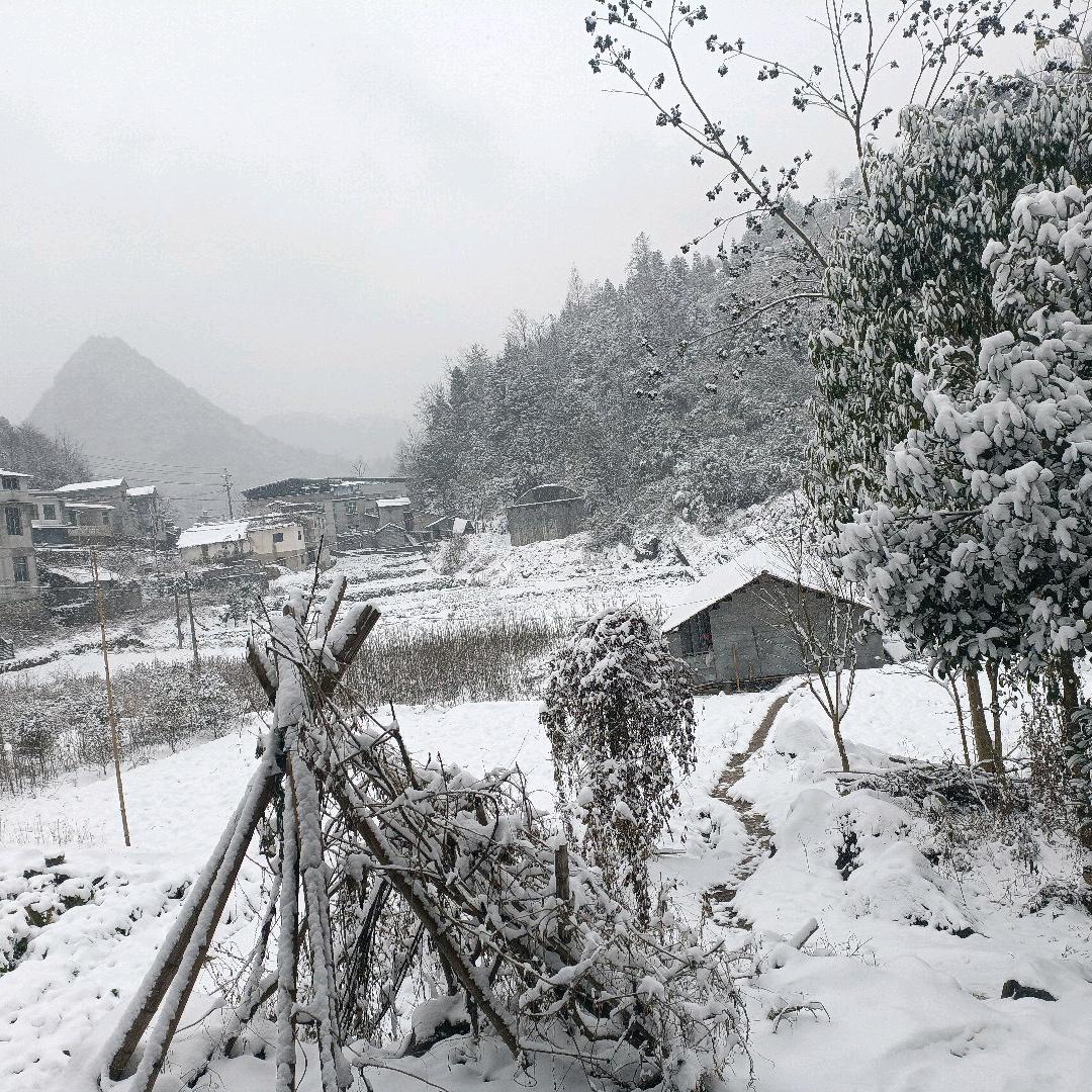 让心简单，生活随心