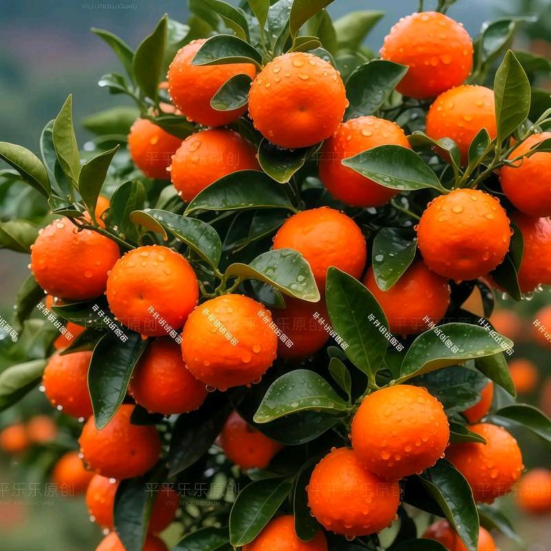 广西桂林绿旺商贸有限公司企业店