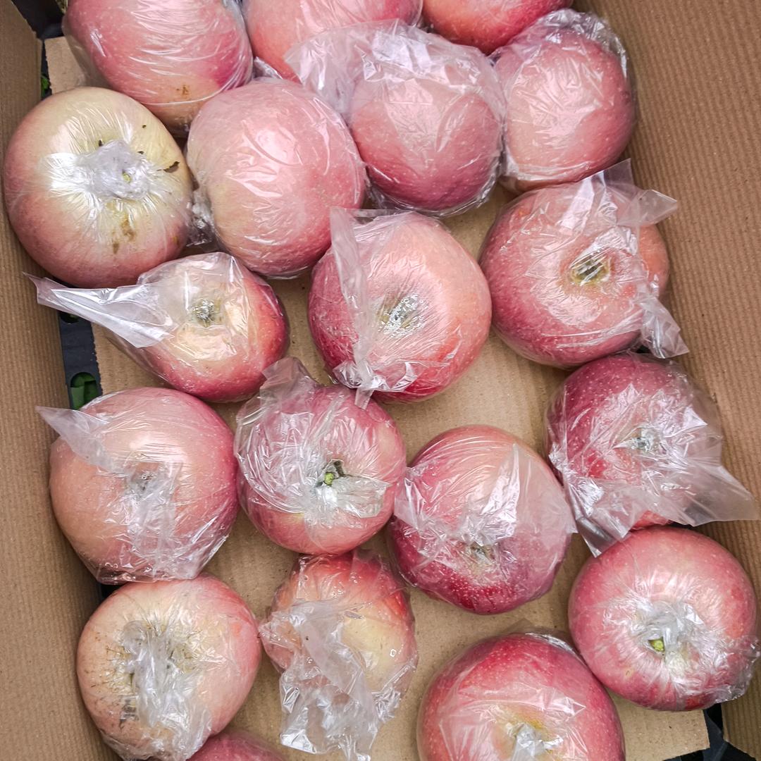 老实人山西临猗黄土高坡冰糖心红富士苹果自