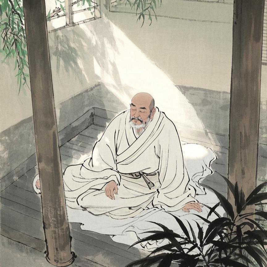 轻养日记