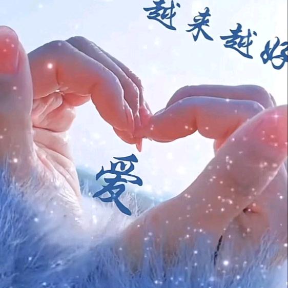 杉杉