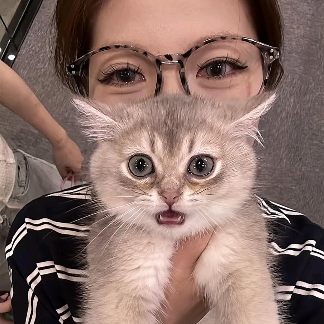 AAA蝴蝶大王