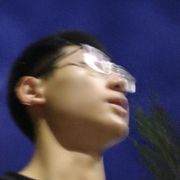 金木星