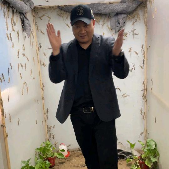 锦刚壁虎养殖场
