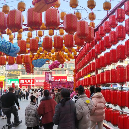 一览芳华
