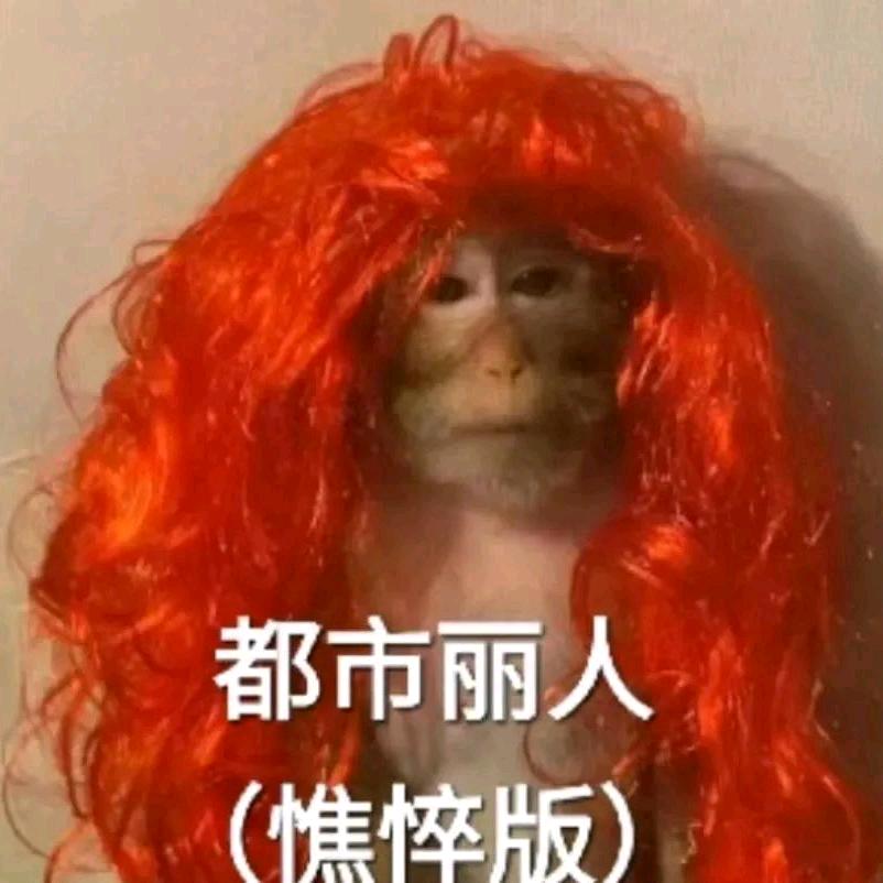 我需要速效救心丸/.