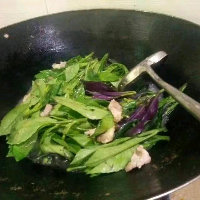 天若有情8099彭