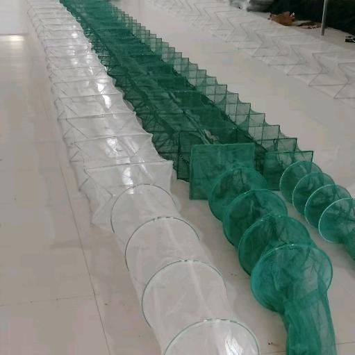 阳谷鱼多多网业