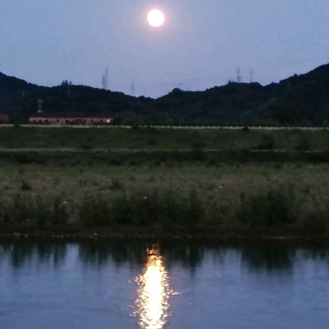 烈酒清风