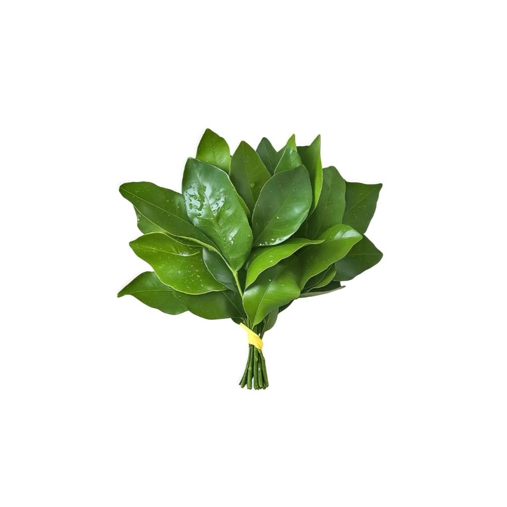 追着太阳跑☀️