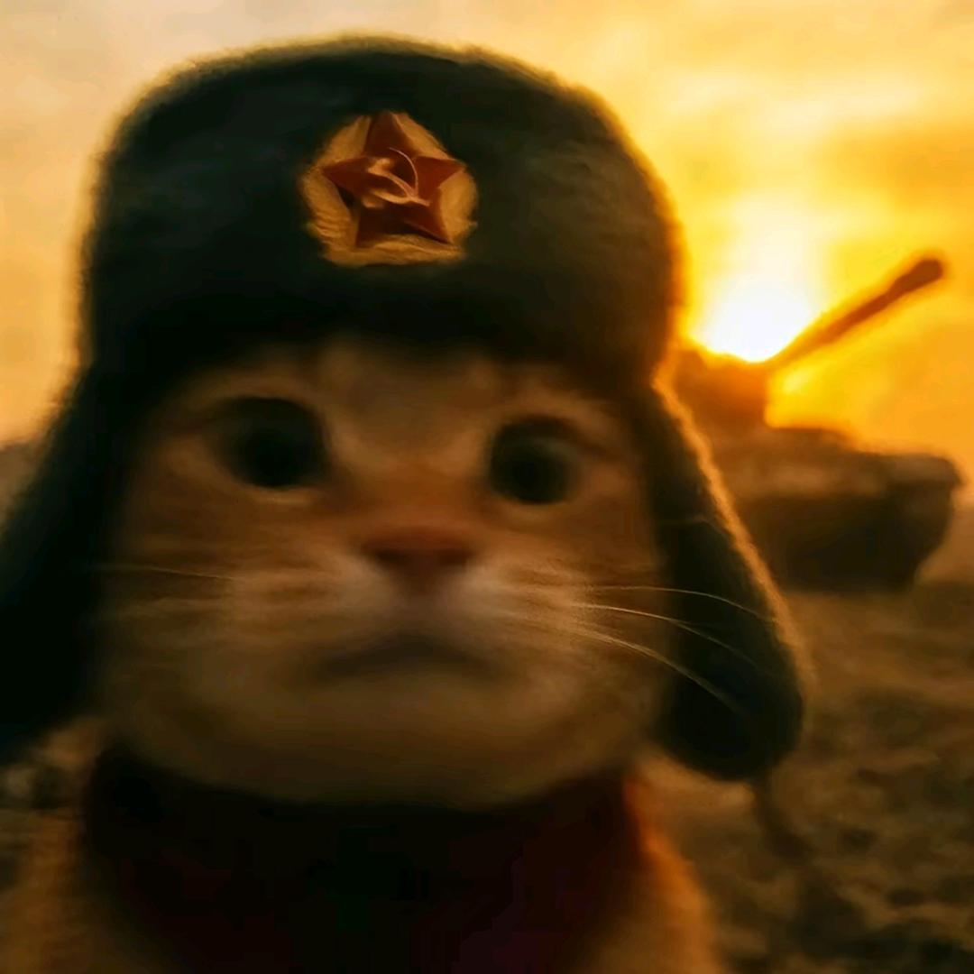 一颗大硕子