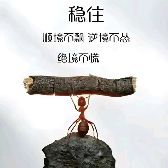 浓烟🚬🫶执念🫶