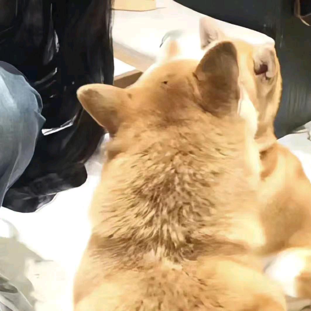 zzZ.