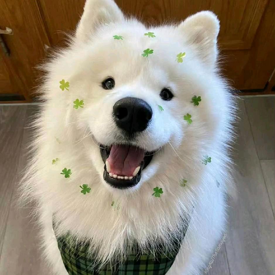 不会鞭甩发力🏸