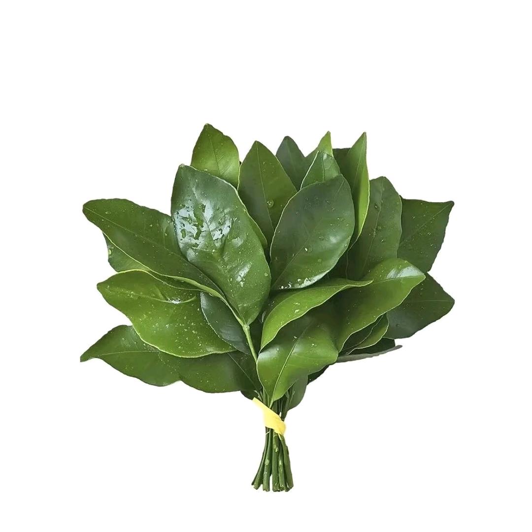 清风