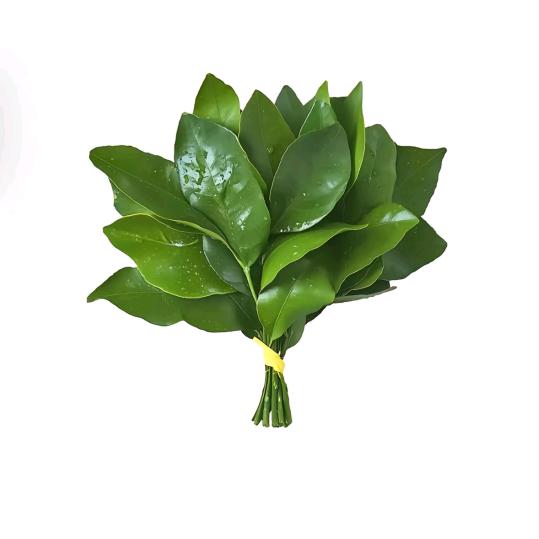 藏起来的🍠