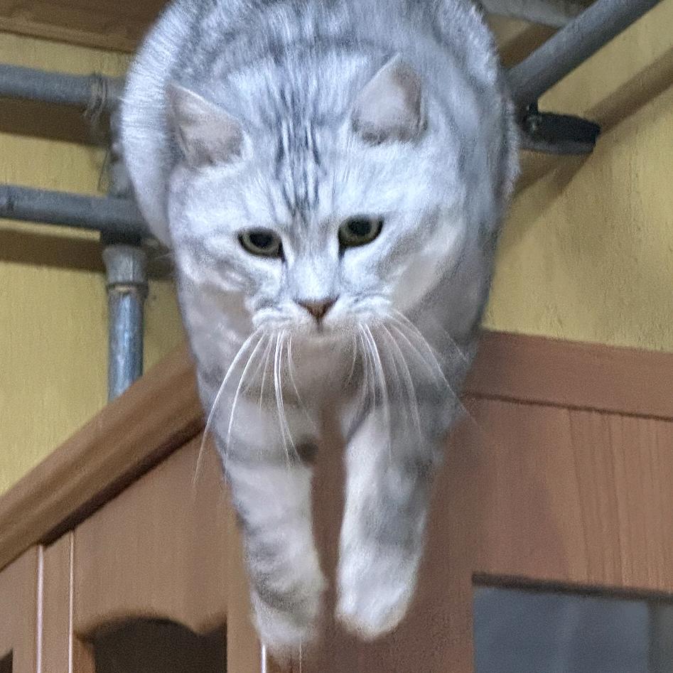 雨外风外