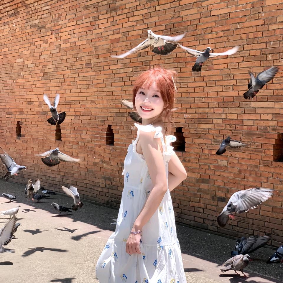 吉祥赛鸽