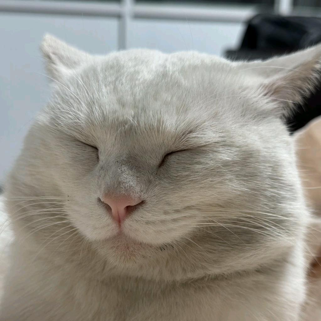 不想早起