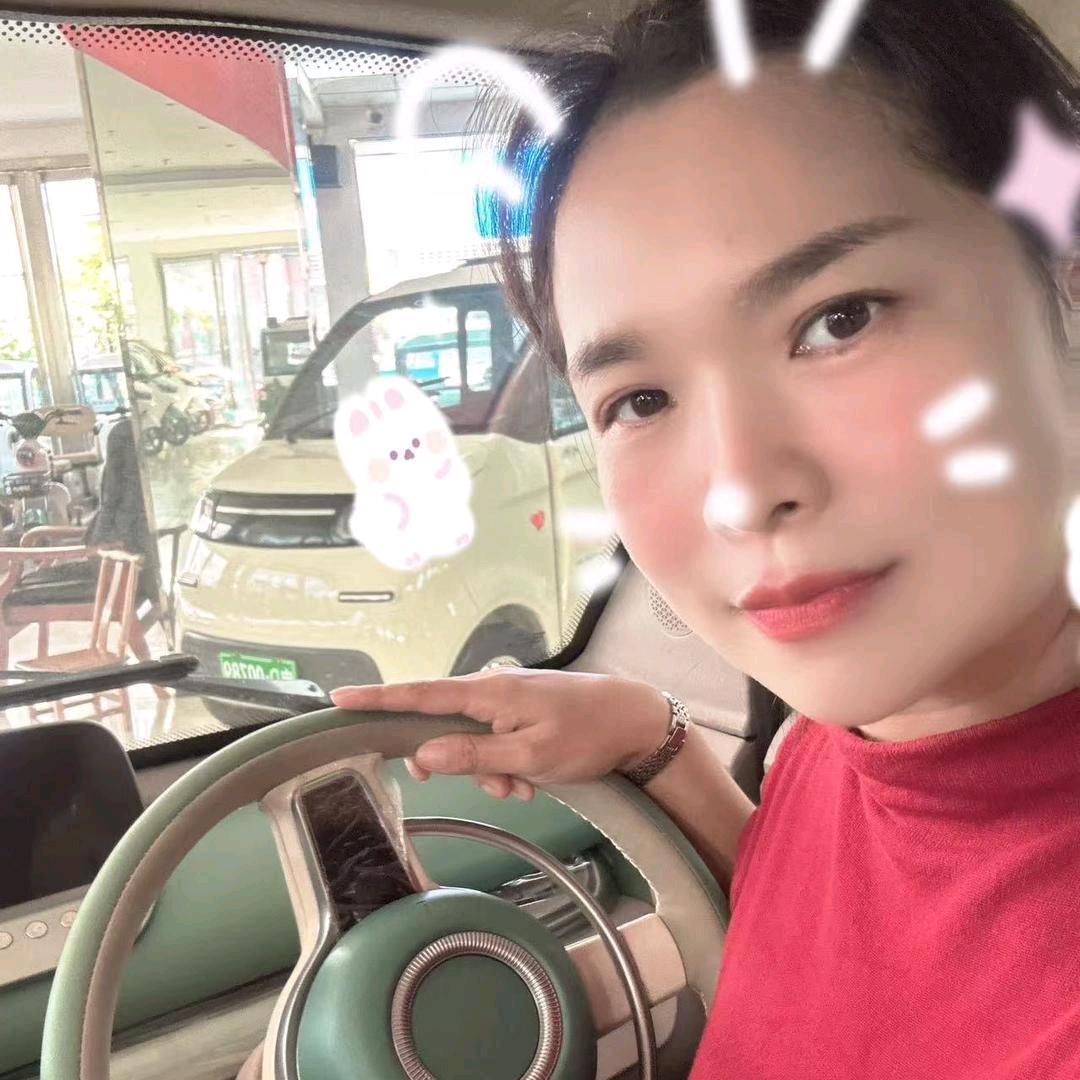 涡阳（萍萍）品牌电动三轮 四轮车