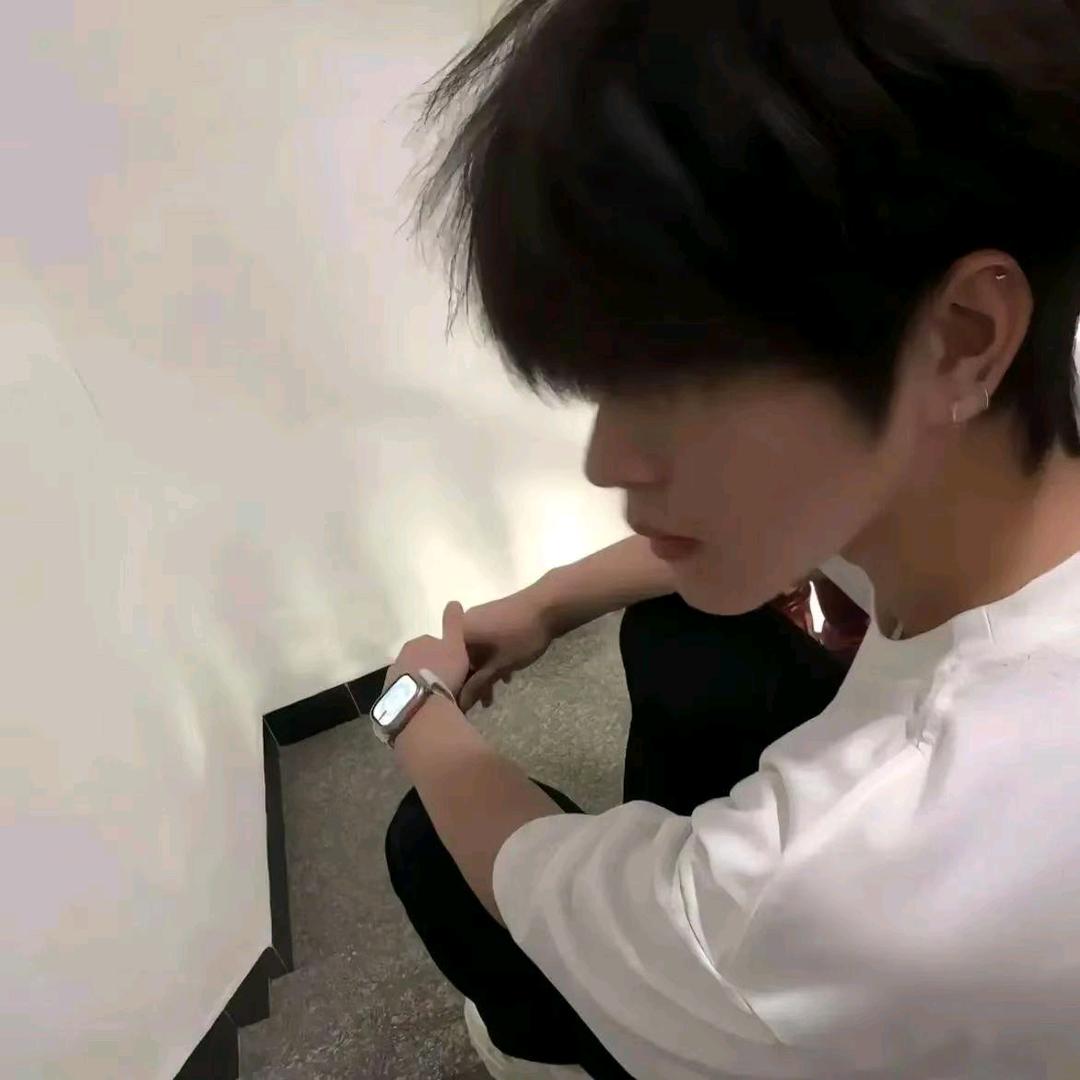 风栖