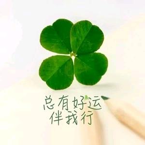 醉眼看人生