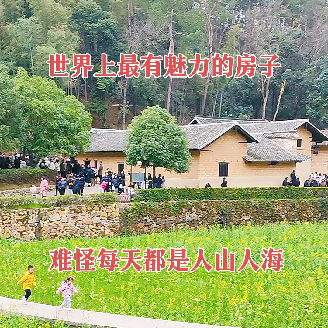 带上耳机聆听这个世界