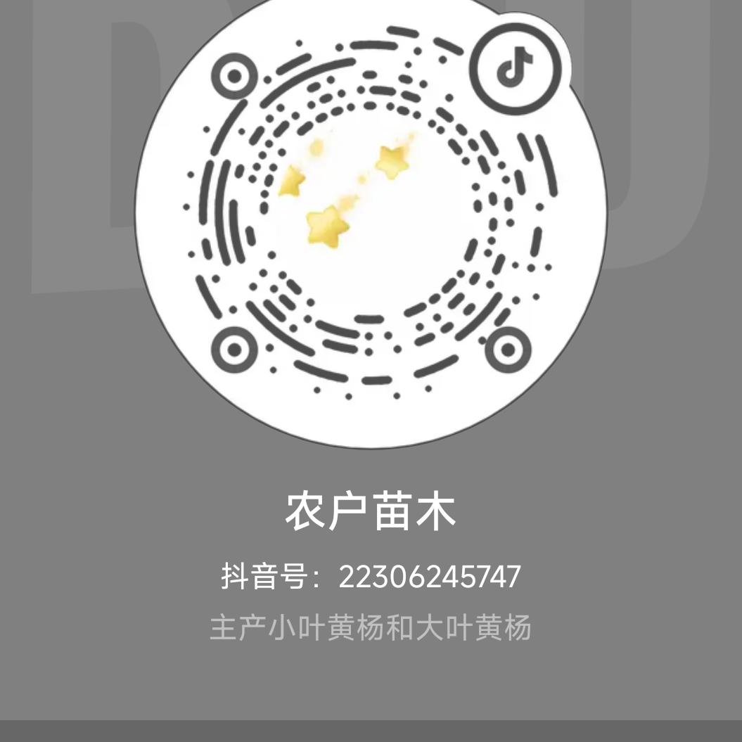 农户苗木