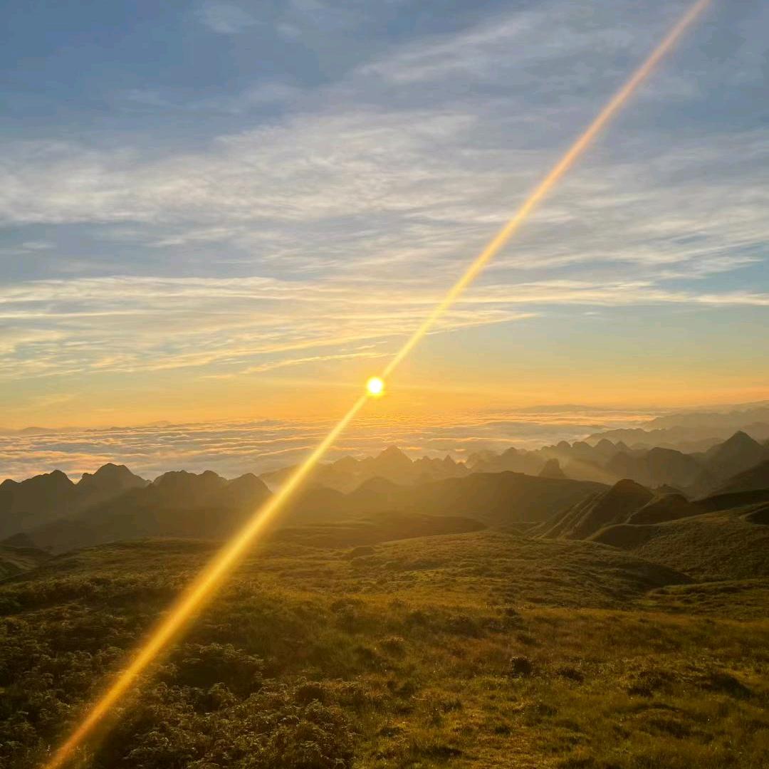 铁了不锈钢的心