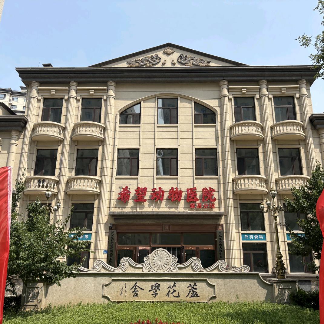 希望动物医院肇源分院
