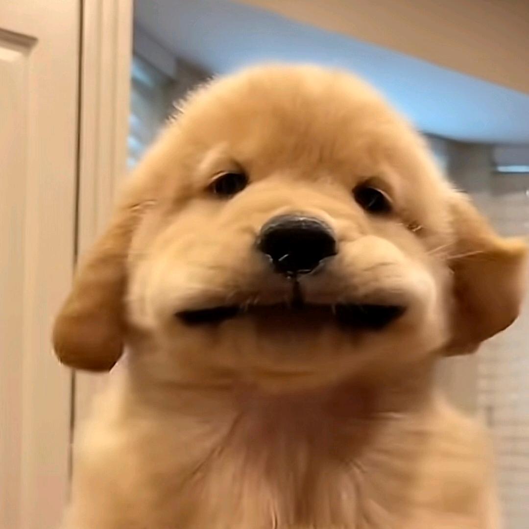 周六