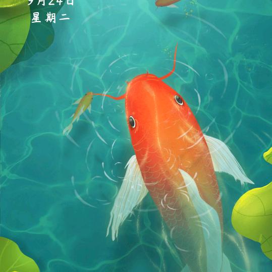 灿烂阳光