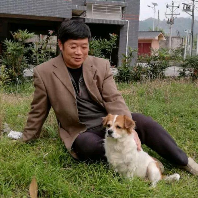 观官
