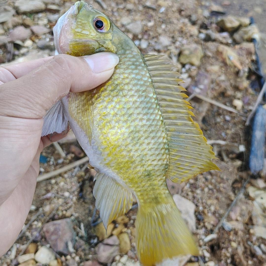 ✨ ✨小叶子✨ ✨