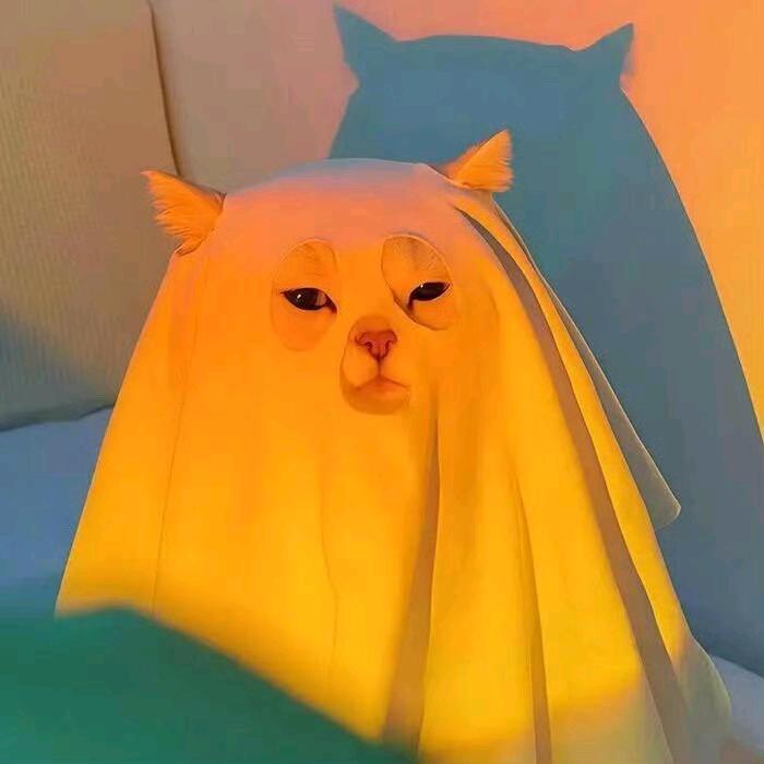 阿陈