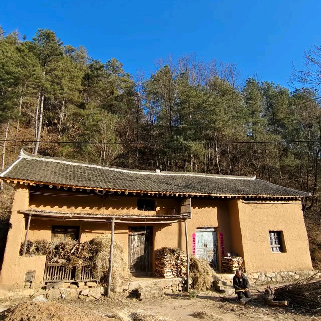 秦岭涛子的野山货