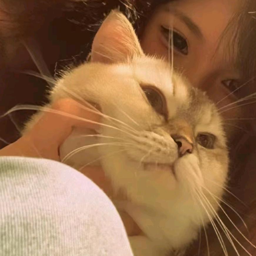 剪子