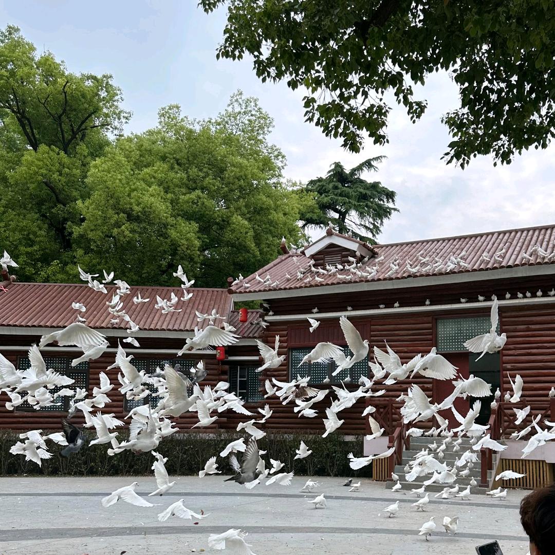 我就是我