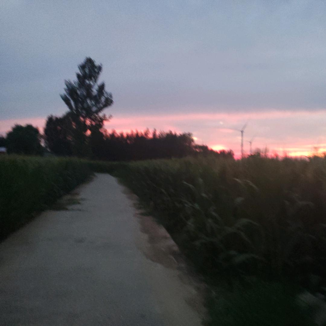 小短腿的快乐🙂