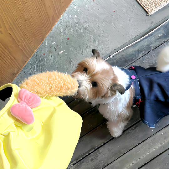 想喝抹茶星冰乐