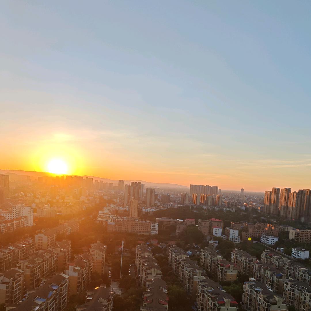 静莲若水
