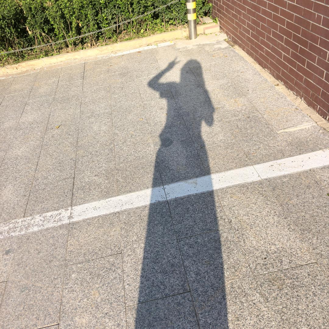 💕💋🐟🌰执子之手🍋💋💕